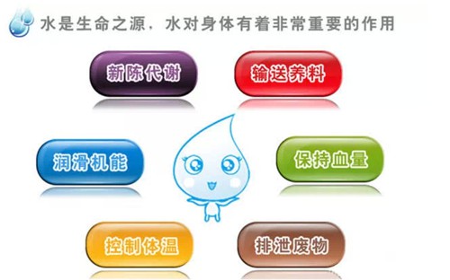 水对人体的主要性-008PG国际饮用水